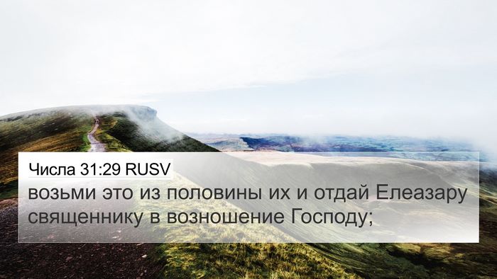 Числа 31:29 RUSV Bible Verse Image