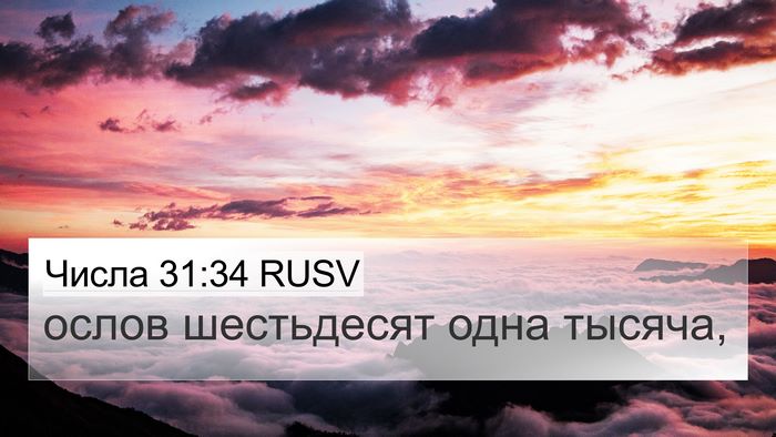 Числа 31:34 RUSV 4K Wallpaper - ослов шестьдесят одна - 4K Wallpaper Bible Verse