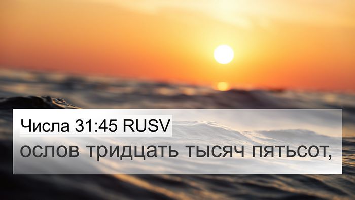 Числа 31:45 RUSV 4K Wallpaper - ослов тридцать тысяч - 4K Wallpaper Bible Verse