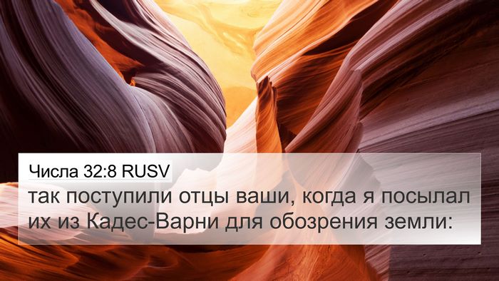 Числа 32:8 RUSV Bible Verse Image
