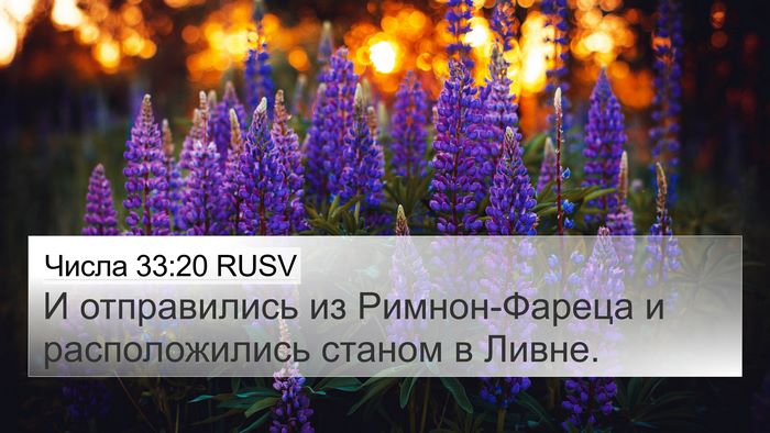 Числа 33:20 RUSV Bible Verse Image