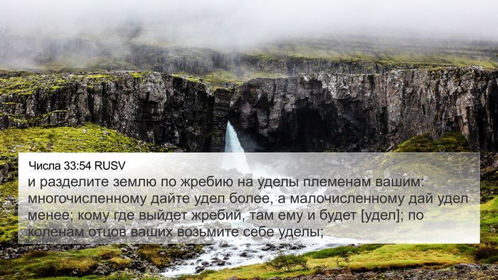 Числа 33:54 RUSV Bible Verse Image