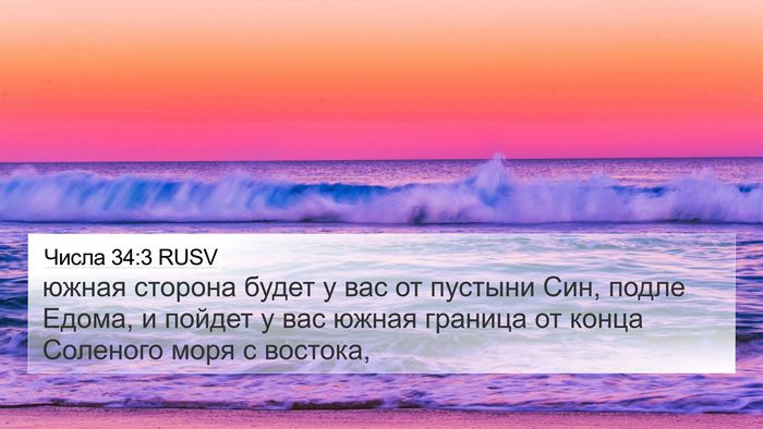 Числа 34:3 RUSV Bible Verse Image