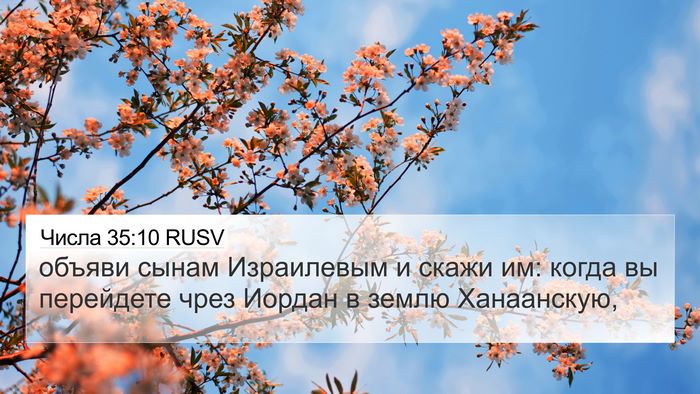 Числа 35:10 RUSV 4K Wallpaper - объяви сынам Израилевым и - 4K Wallpaper Bible Verse