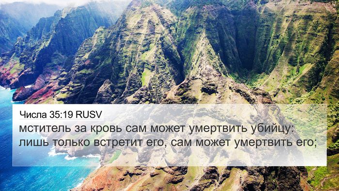 Числа 35:19 RUSV Bible Verse Image