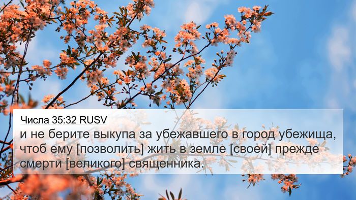 Числа 35:32 RUSV 4K Wallpaper - и не берите выкупа за - 4K Wallpaper Bible Verse