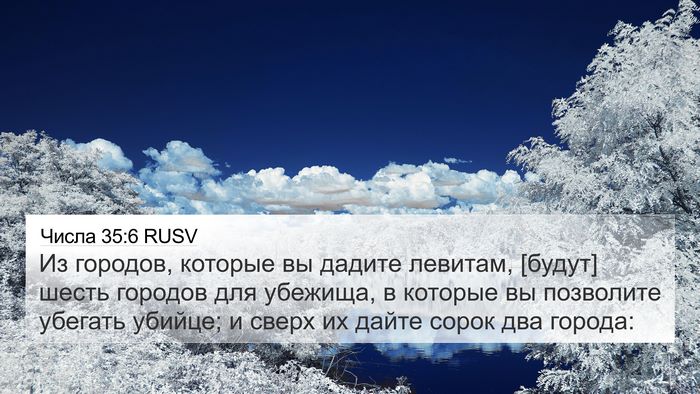 Числа 35:6 RUSV Bible Verse Image