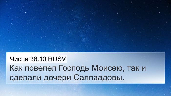 Числа 36:10 RUSV Bible Verse Image