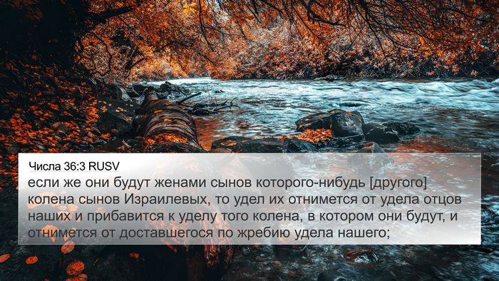 Числа 36:3 RUSV 4K Wallpaper - если же они будут женами - 4K Wallpaper Bible Verse