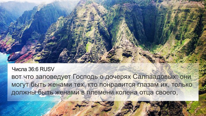 Числа 36:6 RUSV 4K Wallpaper - вот что заповедует Господь - 4K Wallpaper Bible Verse