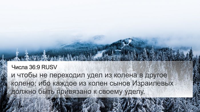 Числа 36:9 RUSV Bible Verse Image