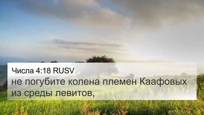Числа 4:18 RUSV 4K Wallpaper - не погубите колена племен - 4K Wallpaper Bible Verse