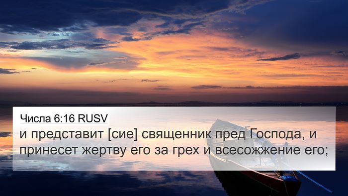 Числа 6:16 RUSV Bible Verse Image
