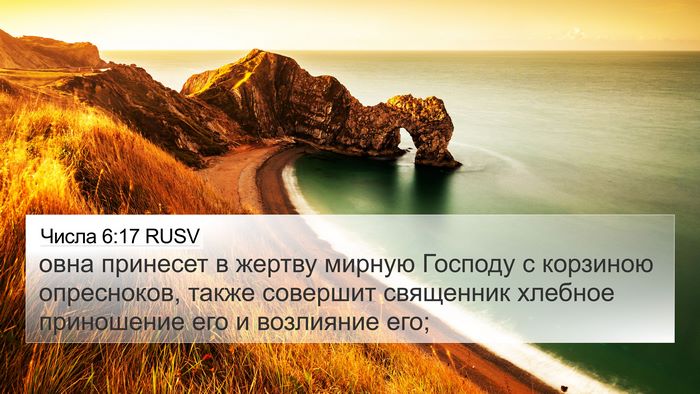 Числа 6:17 RUSV Bible Verse Image