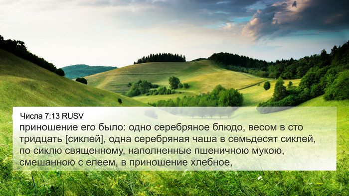 Числа 7:13 RUSV Bible Verse Image
