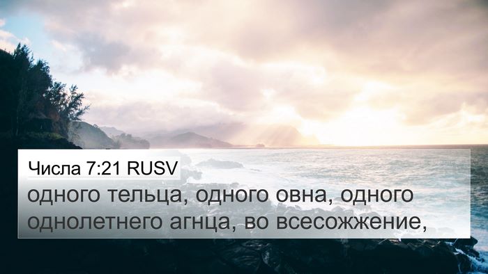 Числа 7:21 RUSV 4K Wallpaper - одного тельца, одного овна, - 4K Wallpaper Bible Verse
