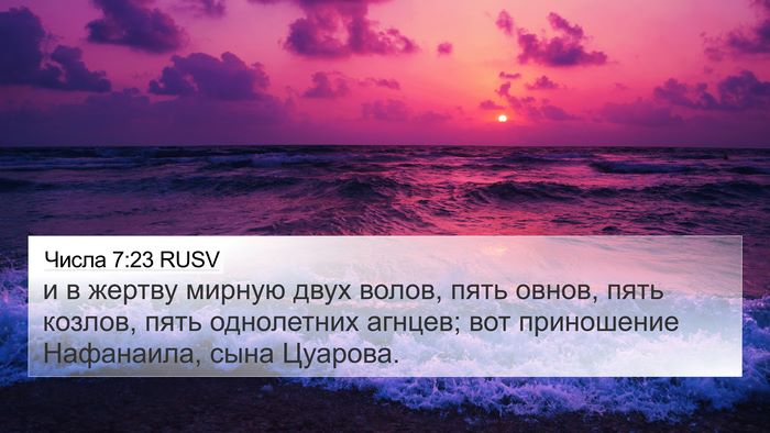 Числа 7:23 RUSV Bible Verse Image