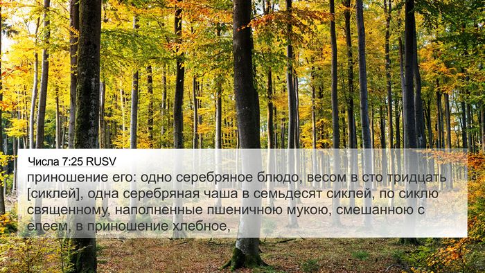 Числа 7:25 RUSV 4K Wallpaper - приношение его: одно - 4K Wallpaper Bible Verse