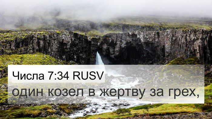 Числа 7:34 RUSV 4K Wallpaper - один козел в жертву за - 4K Wallpaper Bible Verse