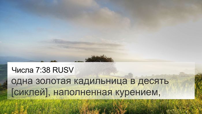 Числа 7:38 RUSV 4K Wallpaper - одна золотая кадильница в - 4K Wallpaper Bible Verse