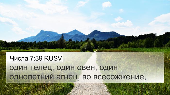 Числа 7:39 RUSV 4K Wallpaper - один телец, один овен, один - 4K Wallpaper Bible Verse