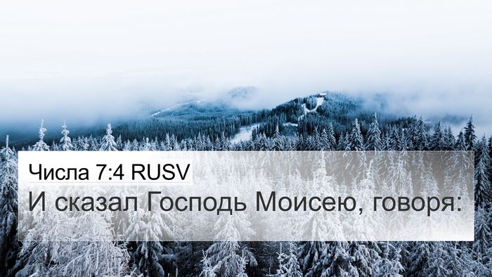 Числа 7:4 RUSV Bible Verse Image