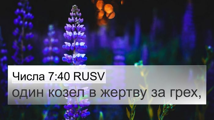 Числа 7:40 RUSV 4K Wallpaper - один козел в жертву за - 4K Wallpaper Bible Verse