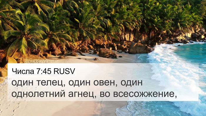 Числа 7:45 RUSV 4K Wallpaper - один телец, один овен, один - 4K Wallpaper Bible Verse