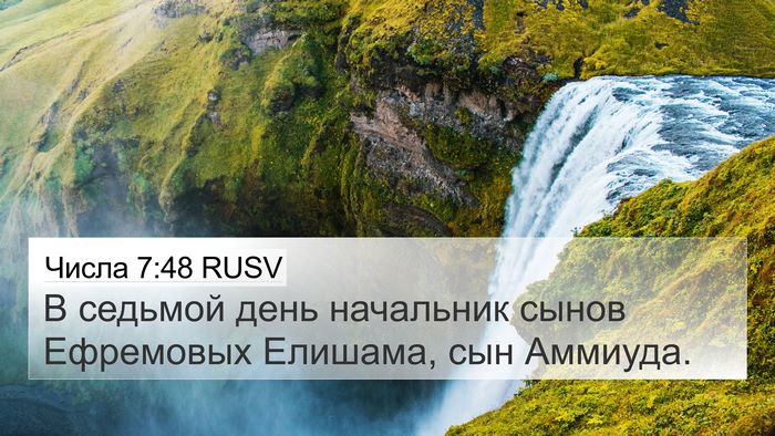 Числа 7:48 RUSV Bible Verse Image