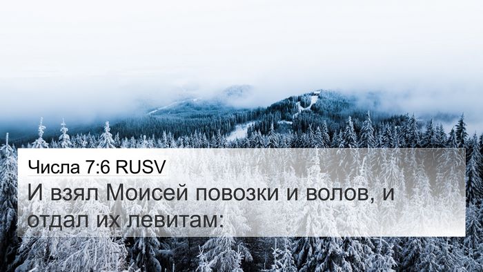 Числа 7:6 RUSV Bible Verse Image