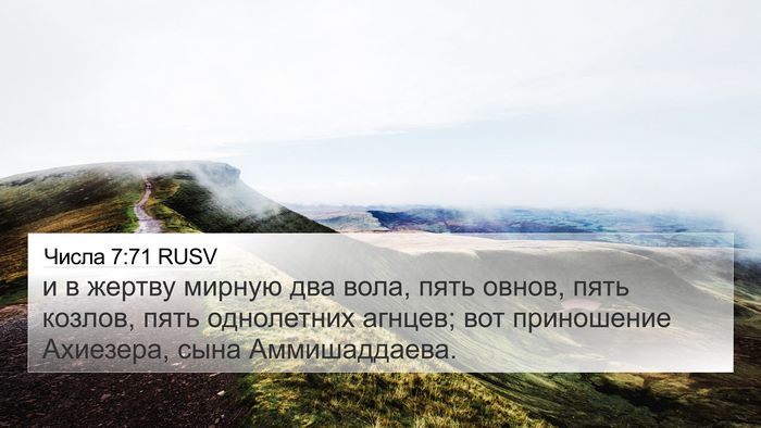 Числа 7:71 RUSV Bible Verse Image