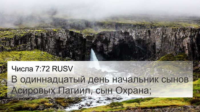 Числа 7:72 RUSV Bible Verse Image