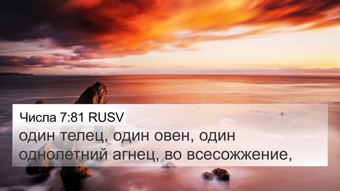 Числа 7:81 RUSV 4K Wallpaper - один телец, один овен, один - 4K Wallpaper Bible Verse