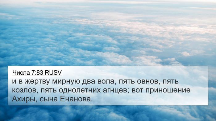 Числа 7:83 RUSV 4K Wallpaper - и в жертву мирную два вола, - 4K Wallpaper Bible Verse