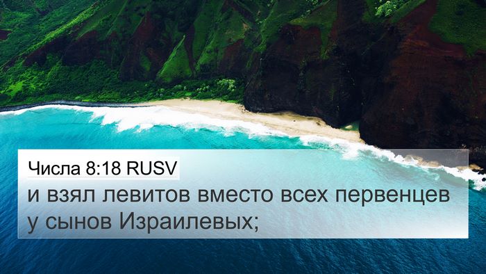 Числа 8:18 RUSV Bible Verse Image