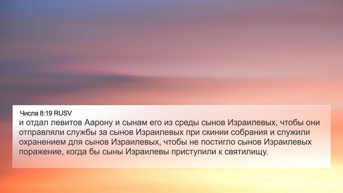 Числа 8:19 RUSV Bible Verse Image