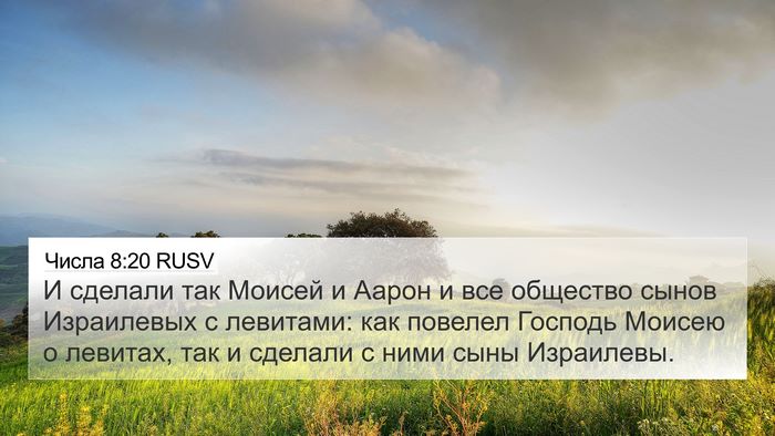 Числа 8:20 RUSV Bible Verse Image