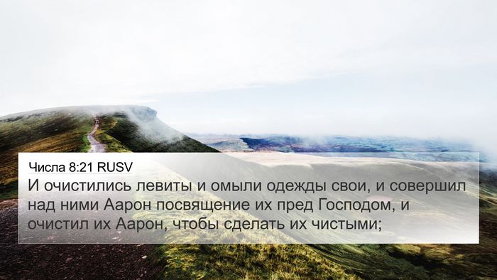 Числа 8:21 RUSV Bible Verse Image