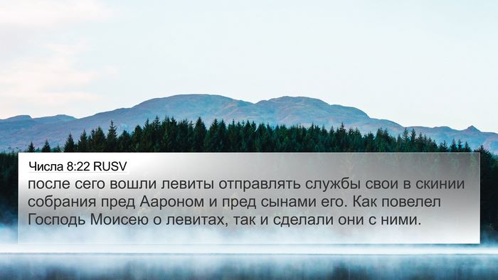 Числа 8:22 RUSV Bible Verse Image