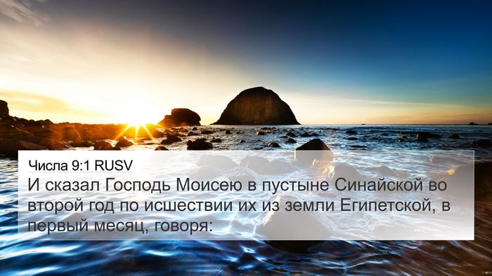 Числа 9:1 RUSV Bible Verse Image