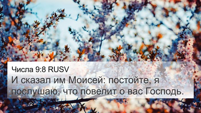 Числа 9:8 RUSV Bible Verse Image
