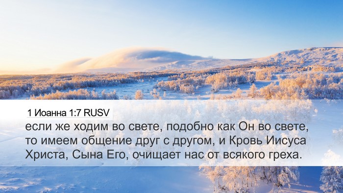 1 Иоанна 1:7 RUSV Bible Verse Image