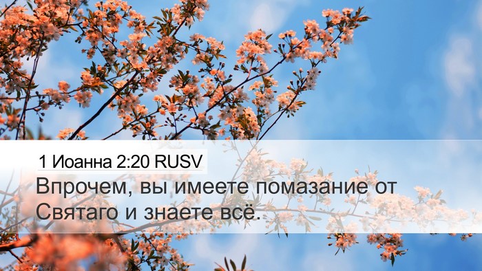 1 Иоанна 2:20 RUSV Bible Verse Image
