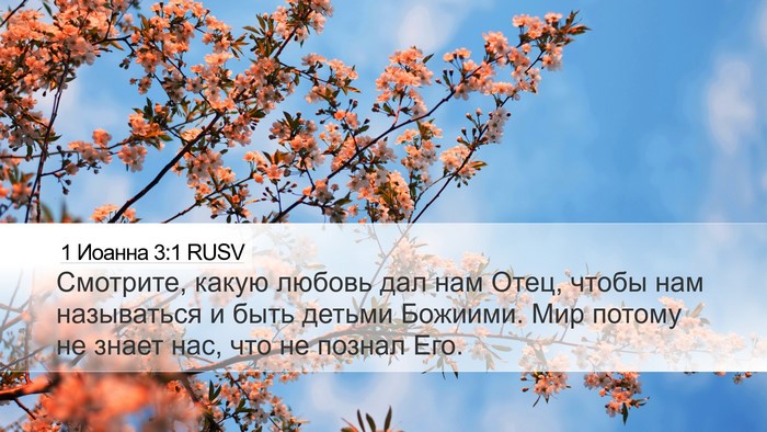 1 Иоанна 3:1 RUSV Bible Verse Image