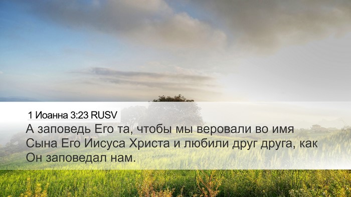 1 Иоанна 3:23 RUSV Bible Verse Image