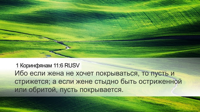 1 Коринфянам 11:6 RUSV Bible Verse Image