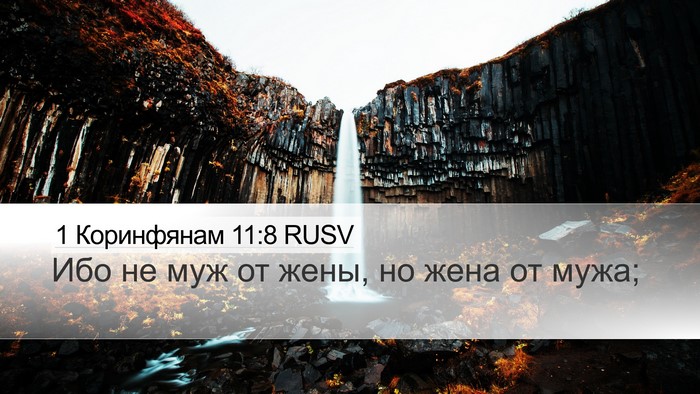 1 Коринфянам 11:8 RUSV Bible Verse Image