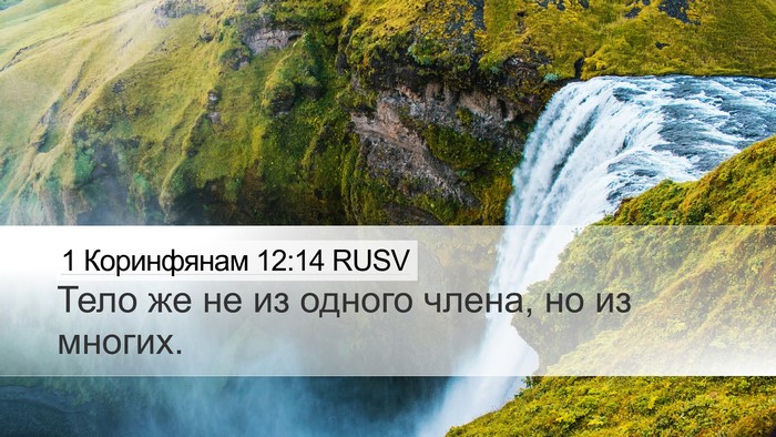 1 Коринфянам 12:14 RUSV Bible Verse Image