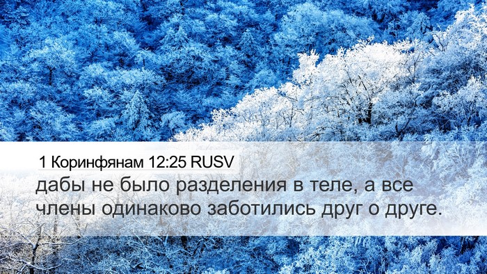 1 Коринфянам 12:25 RUSV Bible Verse Image
