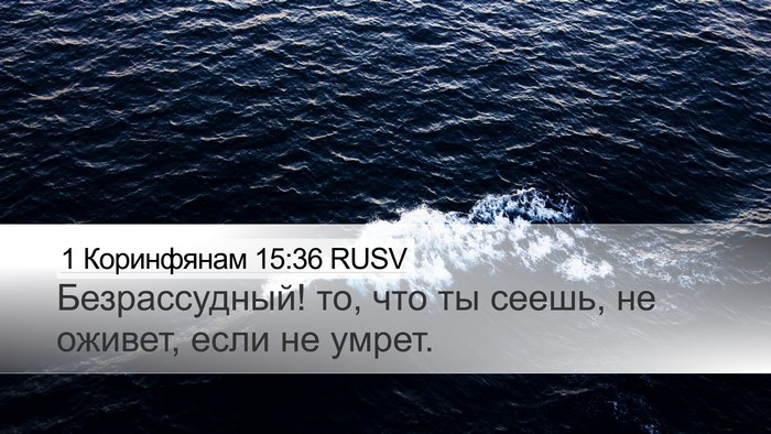 1 Коринфянам 15:36 RUSV Bible Verse Image